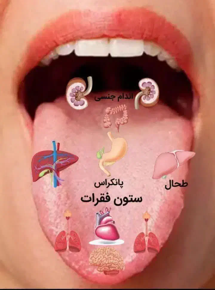 آموزش طب سنتی ودر آمد زایی|خدمات آموزشی|نیشابور, مدرس|دیوار