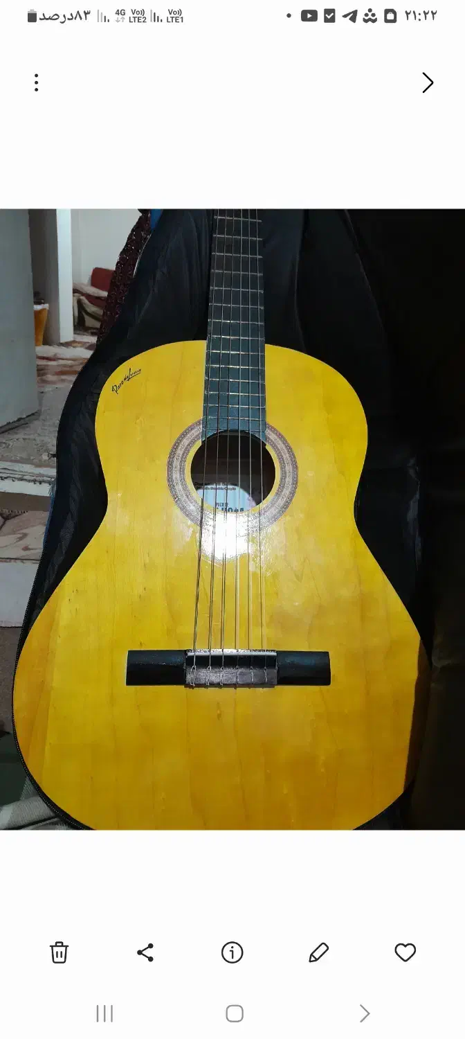 گیتار کلاسیک نو|گیتار، بیس، امپلیفایر|شیرگاه, |دیوار