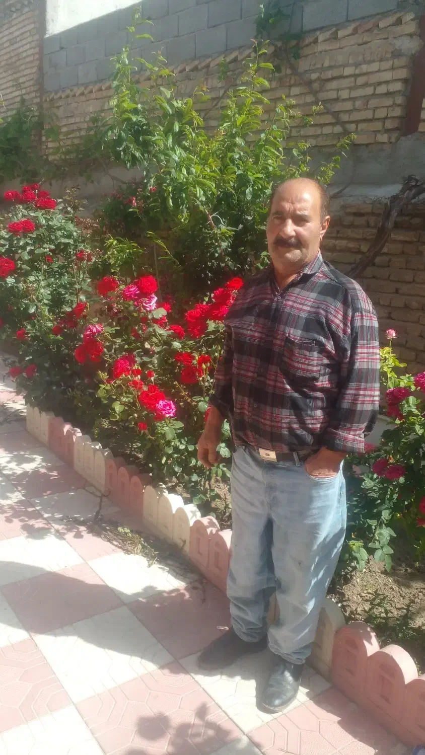 گمشده|اشیا|اهر, |دیوار