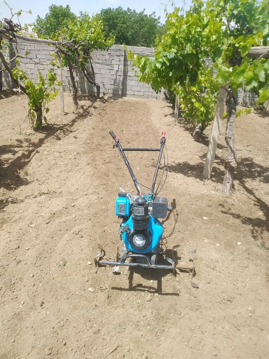 شخمزنی|خدمات باغبانی و درختکاری|ارومیه, |دیوار