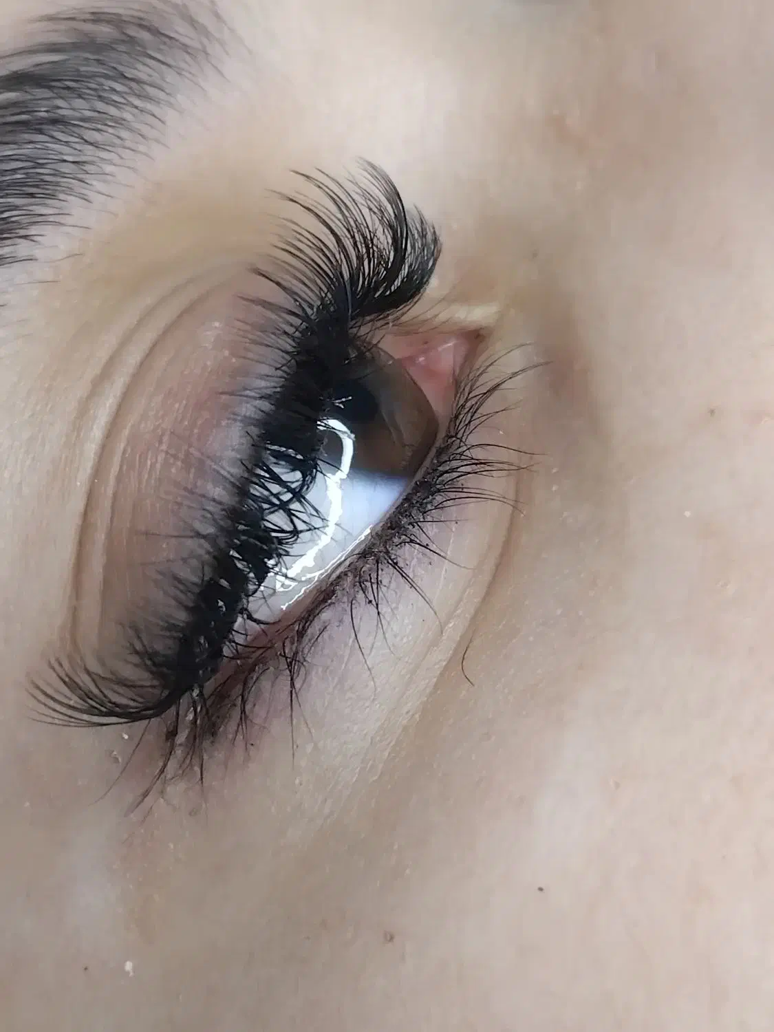 اکستنشن لیفت ولمینیت ابرو تخفیف قبل عیدی|خدمات آرایشگری و زیبایی|ورامین, ورامین|دیوار