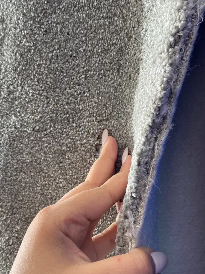 موکت پرز بلند یک سانت تا چهار سانت|موکت|تهران, دهکده المپیک|دیوار