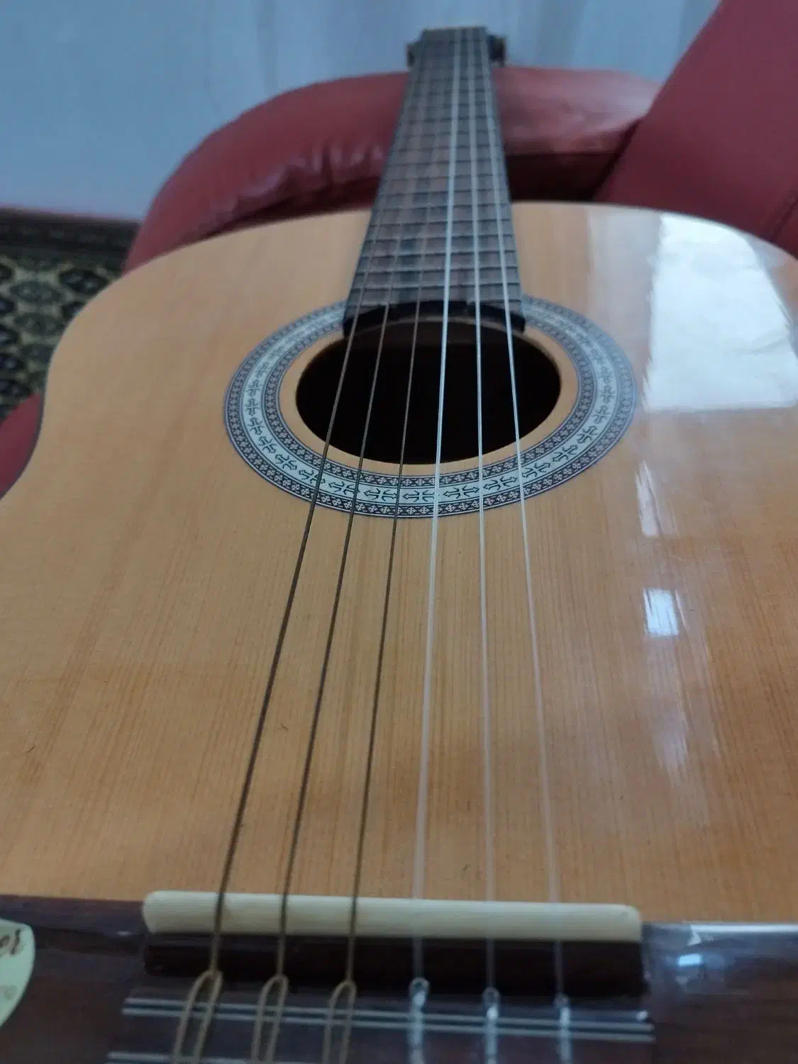 گیتار کلاسیک هافنر، سالم و در حد نو|گیتار، بیس، امپلیفایر|رشت, سلیمانداراب|دیوار