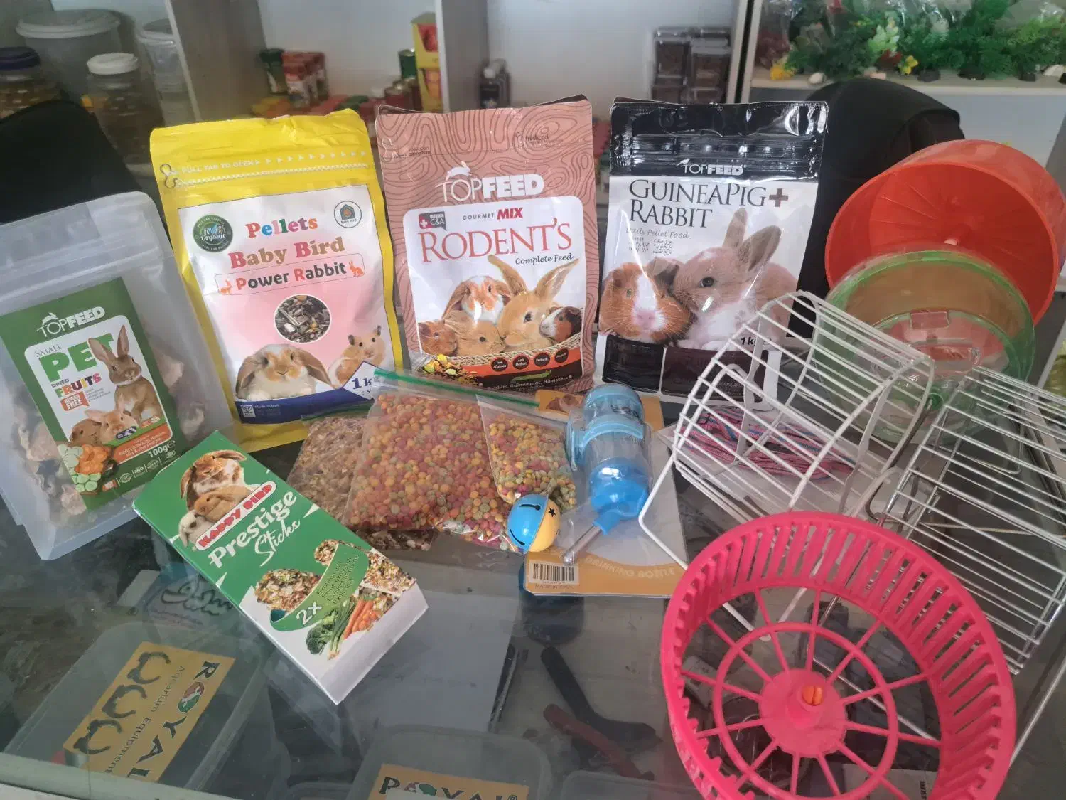 همستر.خوکچه.خرگوش.موش سوری|لوازم جانبی حیوانات|زنجان, |دیوار