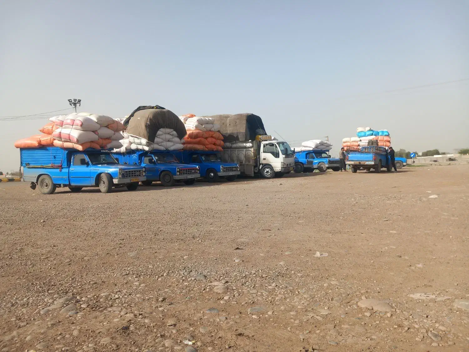 کاه گندم|لوازم جانبی حیوانات|رشت, منظریه|دیوار