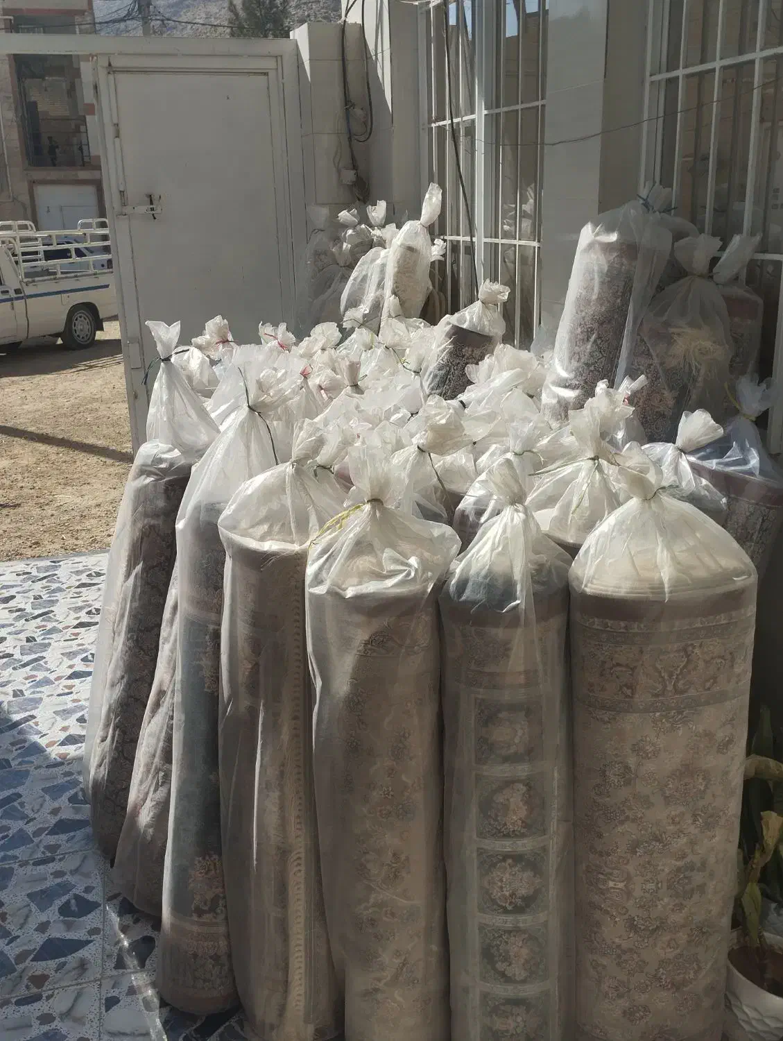 ویژه همشهری& فرش سارینا)|فرش|بوشهر, |دیوار