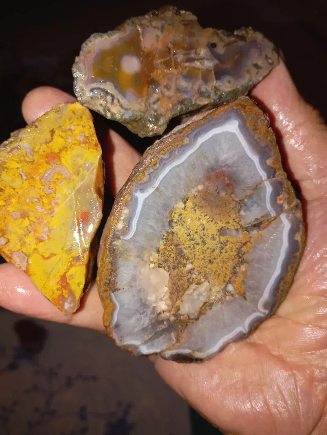 پک اقتصادی شجر و عقیق|جواهرات|تهران, باشگاه نفت|دیوار