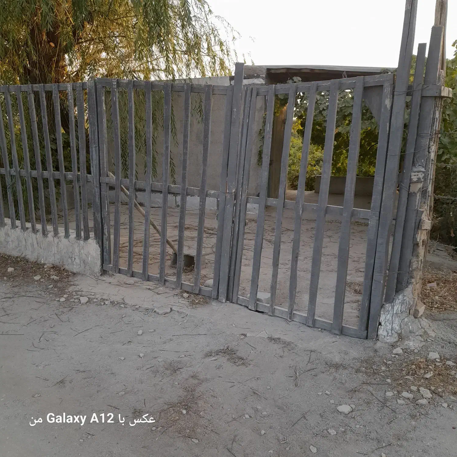 باغ انگور بادرختان بادام وغیره|فروش دفتر صنعتی، کشاورزی، تجاری|بشاریات, |دیوار