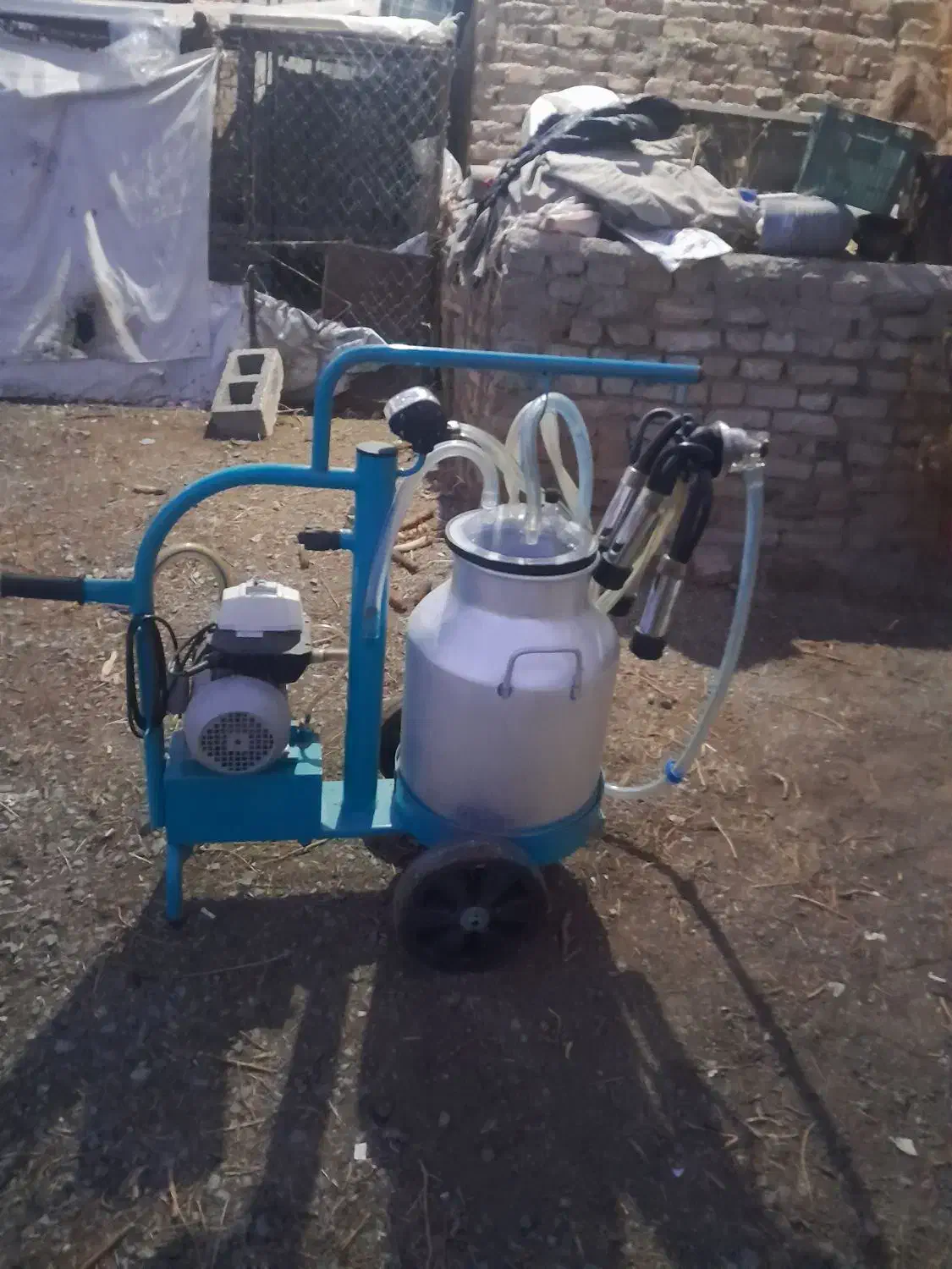 شیردوش|لوازم جانبی حیوانات|سلماس, |دیوار