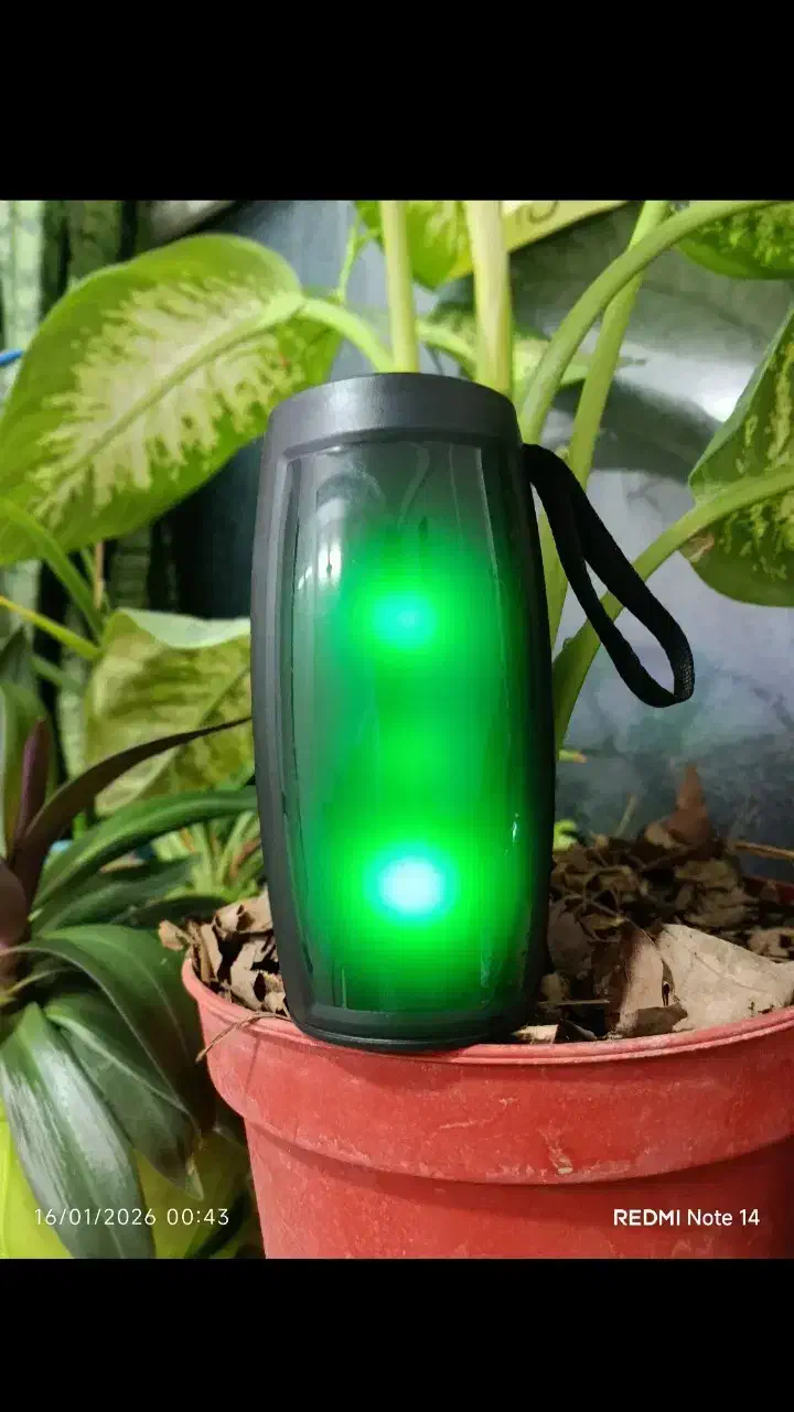 اسبیکر|پخش‌کننده همراه|قم, پردیسان|دیوار