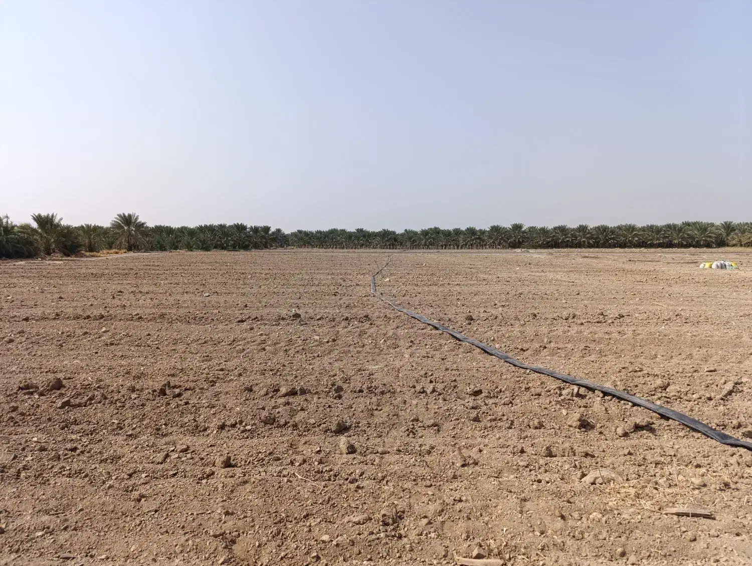 اجاره زمین کشاورزی حاصل خیز|اجارهٔ دفتر صنعتی، کشاورزی، تجاری|بلوک, |دیوار