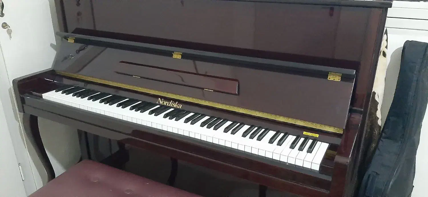 پیانو اگوستیک نوردیسکا|پیانو، کیبورد، آکاردئون|تهران, سردارجنگل|دیوار