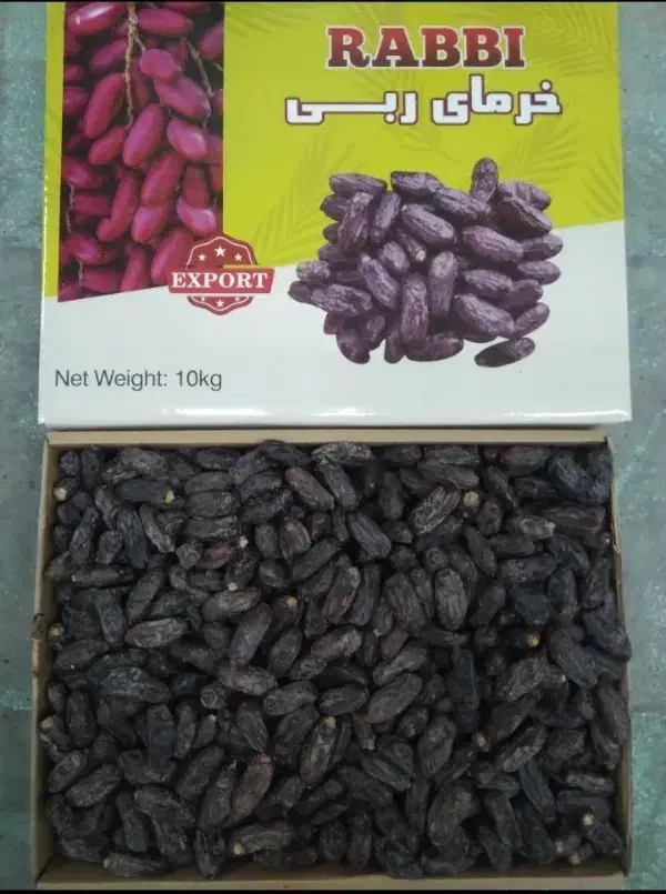 خرمای ربی بلوچستان|خوردنی و آشامیدنی|ایرانشهر, |دیوار