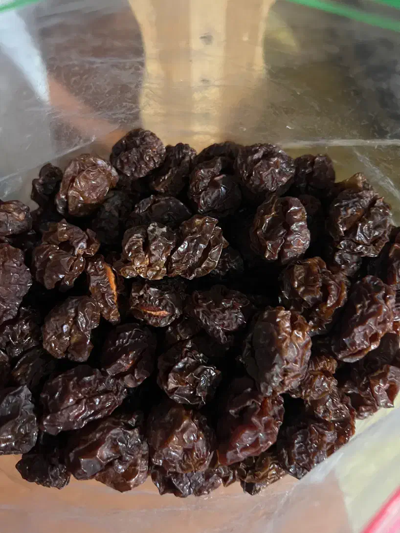 آلو زرد خشک|خوردنی و آشامیدنی|شیراز, تلخ داش|دیوار