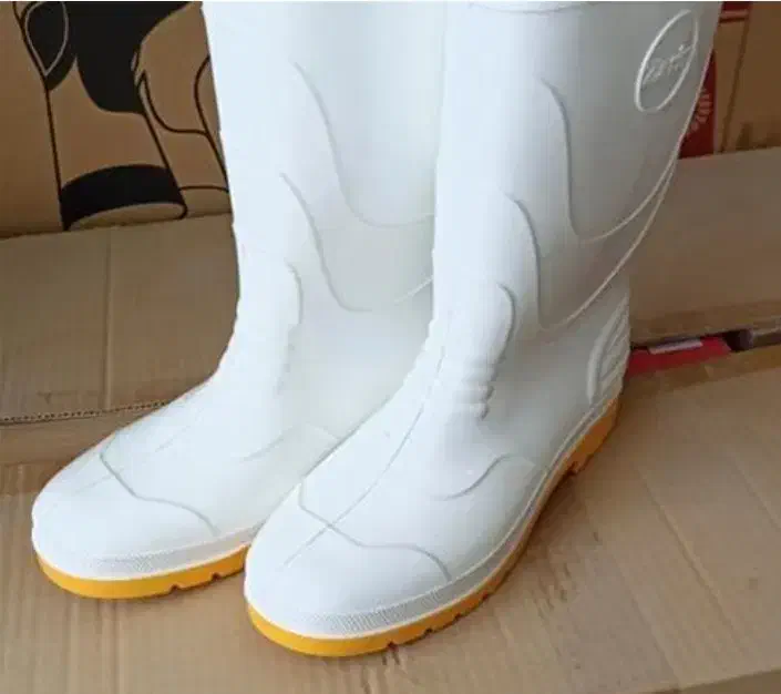 چکمه ساق بلند|کیف، کفش، کمربند|رفسنجان, |دیوار