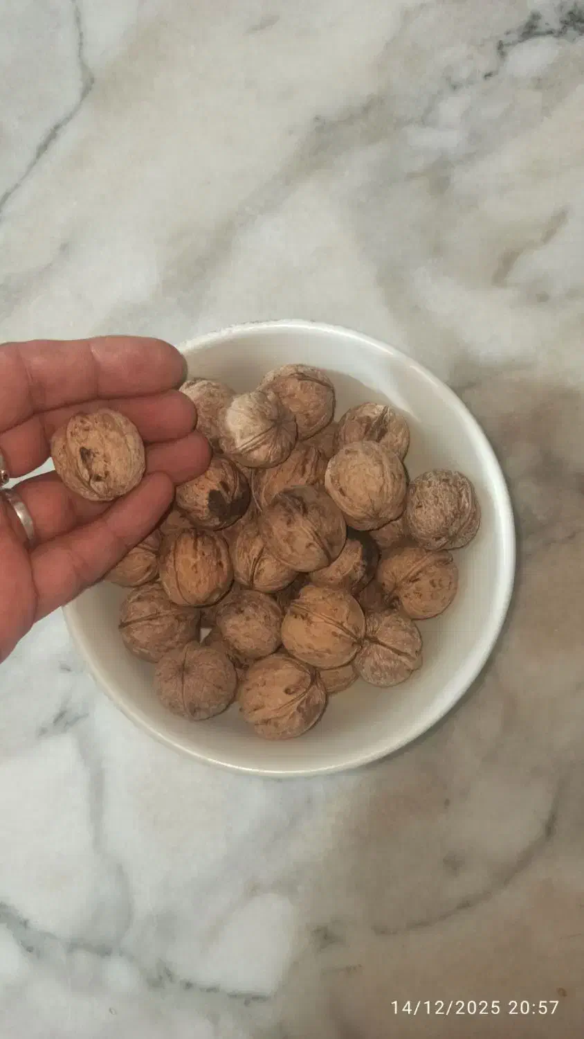 گردو|خوردنی و آشامیدنی|آشخانه, |دیوار