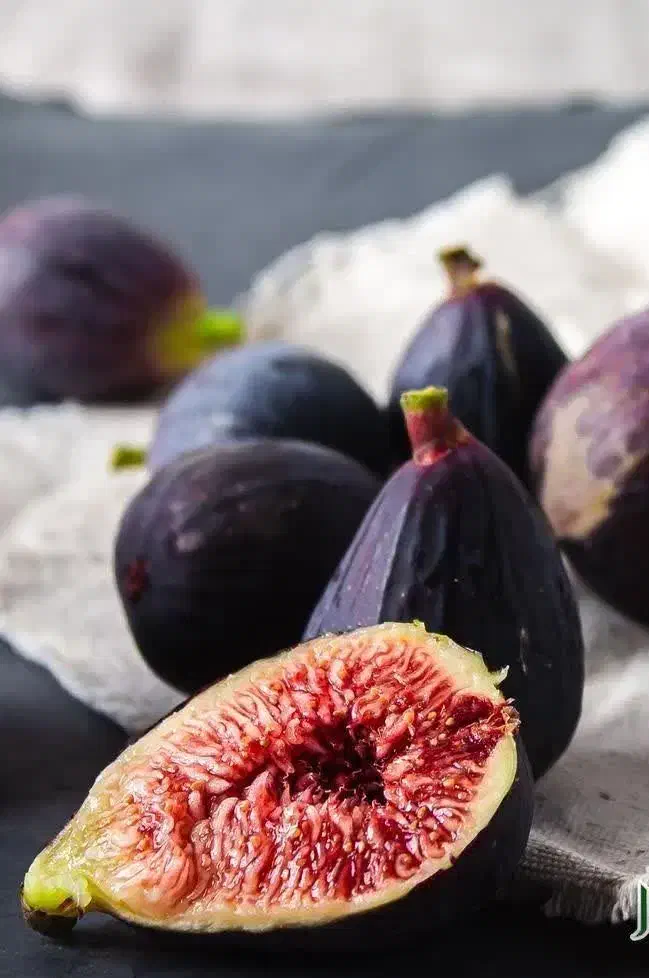 آغاز پیشفروش نهال انجیر گلابی درشت|خدمات باغبانی و درختکاری|بهاباد, |دیوار