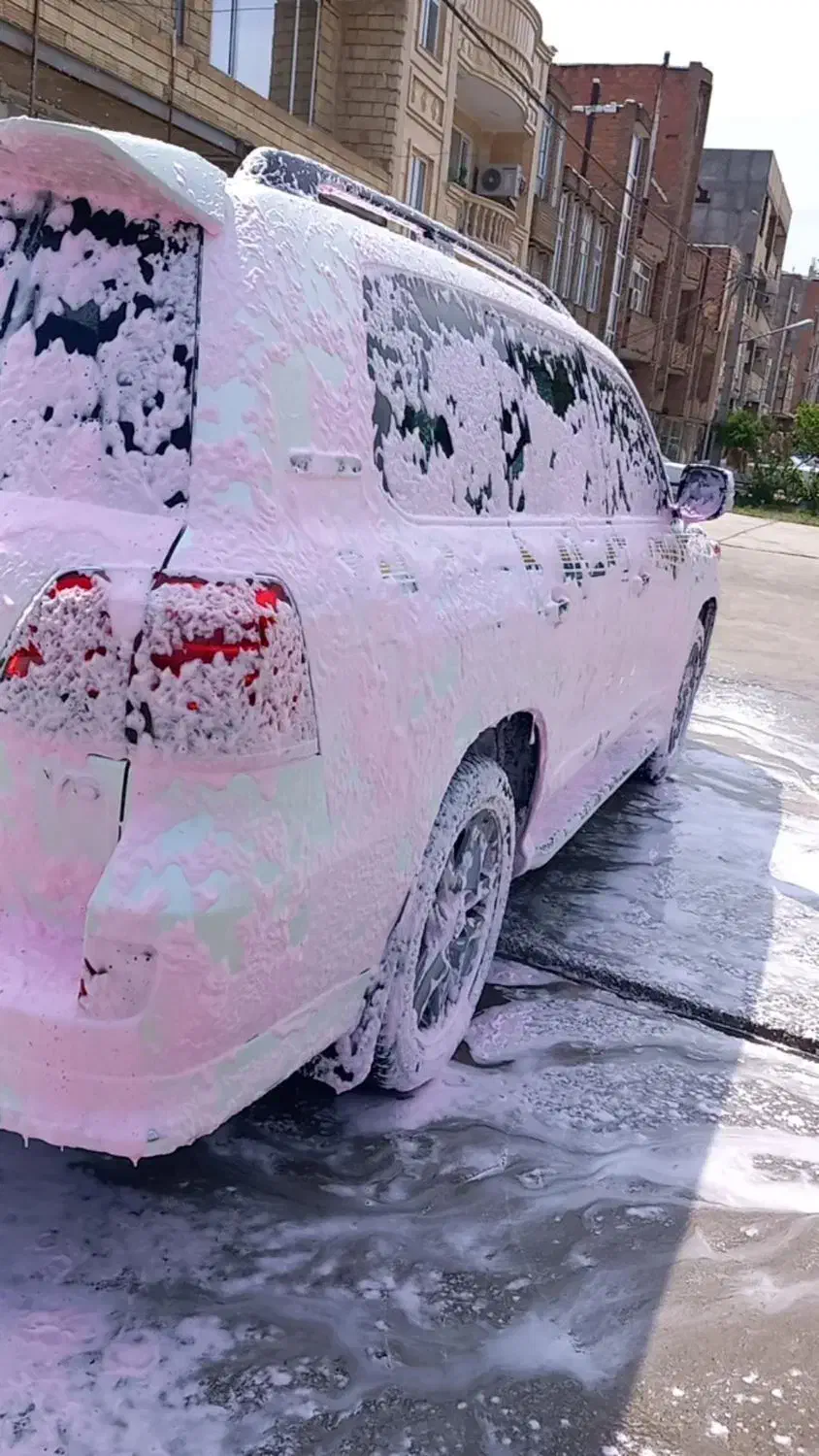 کارگر جهت کار در کارواش برای خشک کن|استخدام خدمات فروشگاه و رستوران|پارسآباد, |دیوار