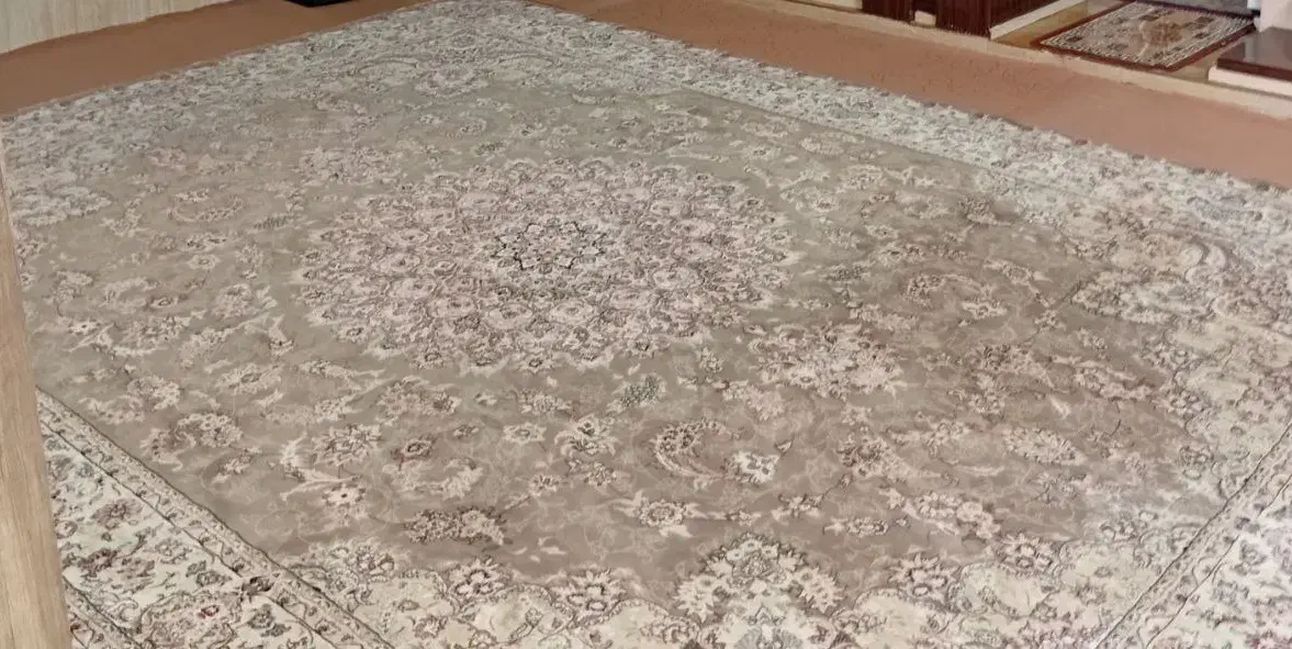 قالی باتراکم بالا|فرش|تایباد, |دیوار