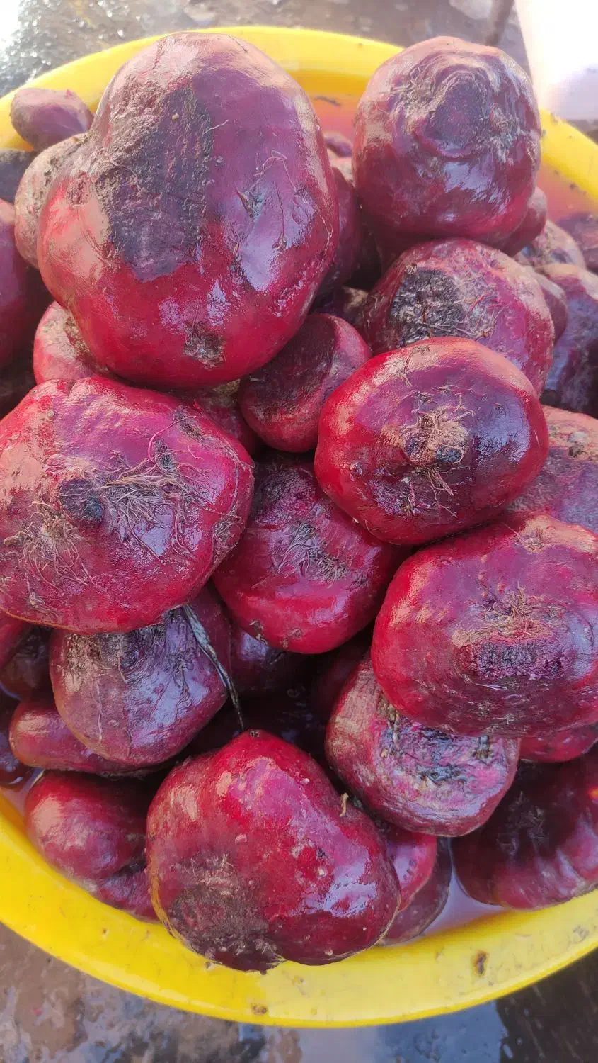 چغدر لبو|خوردنی و آشامیدنی|قم, نیروگاه|دیوار