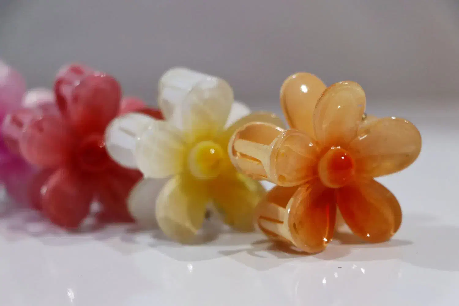 الارا شاپ|بدلیجات|شیراز, قدوسی شرقی|دیوار