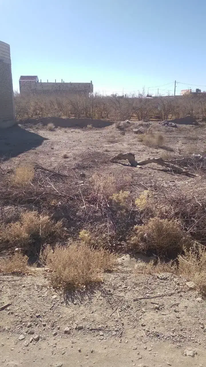 زمین فروشی موقعیت عالی باغستان علیا نزدیک آب بلده|فروش زمین و ملک کلنگی|اسلامیه, |دیوار