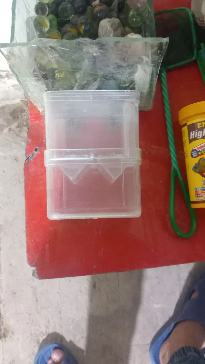 آکواریم کلبه ای و آکواریم بزرگ  ماهی فوری فوری|ماهی|قم, شهرک مهدیه (مدرس)|دیوار