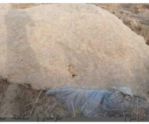 فروش کاه گندم|لوازم جانبی حیوانات|شیراز, گویم|دیوار