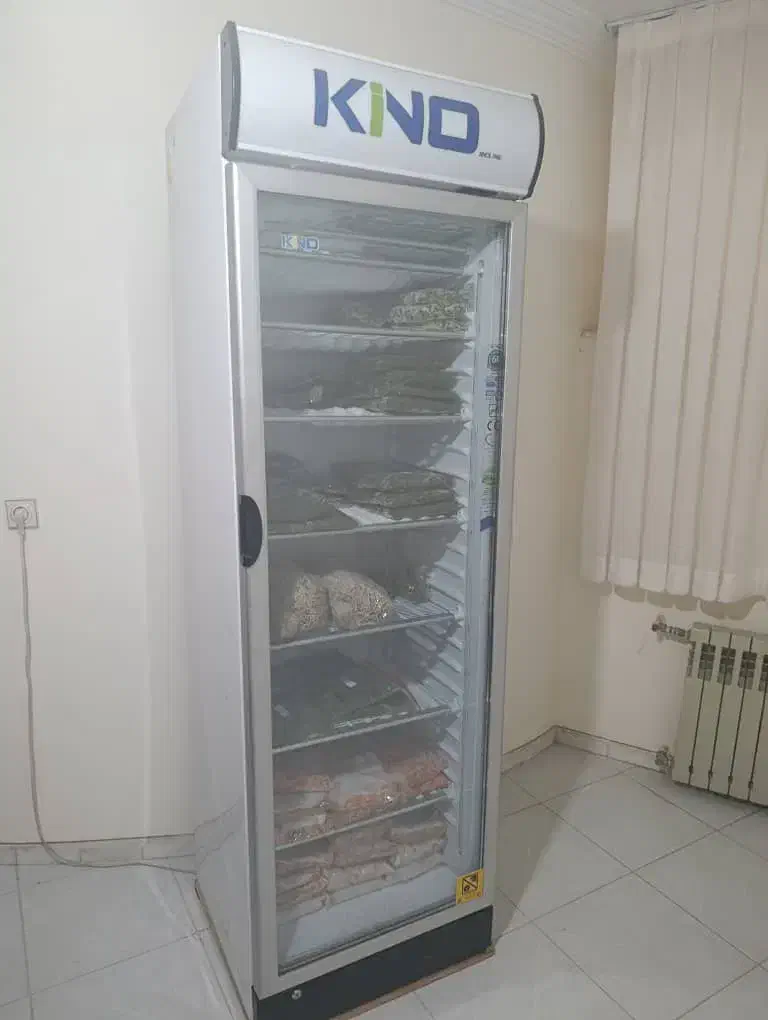 فریزر صنعتی کینو|فروشگاه و مغازه|زرند, |دیوار