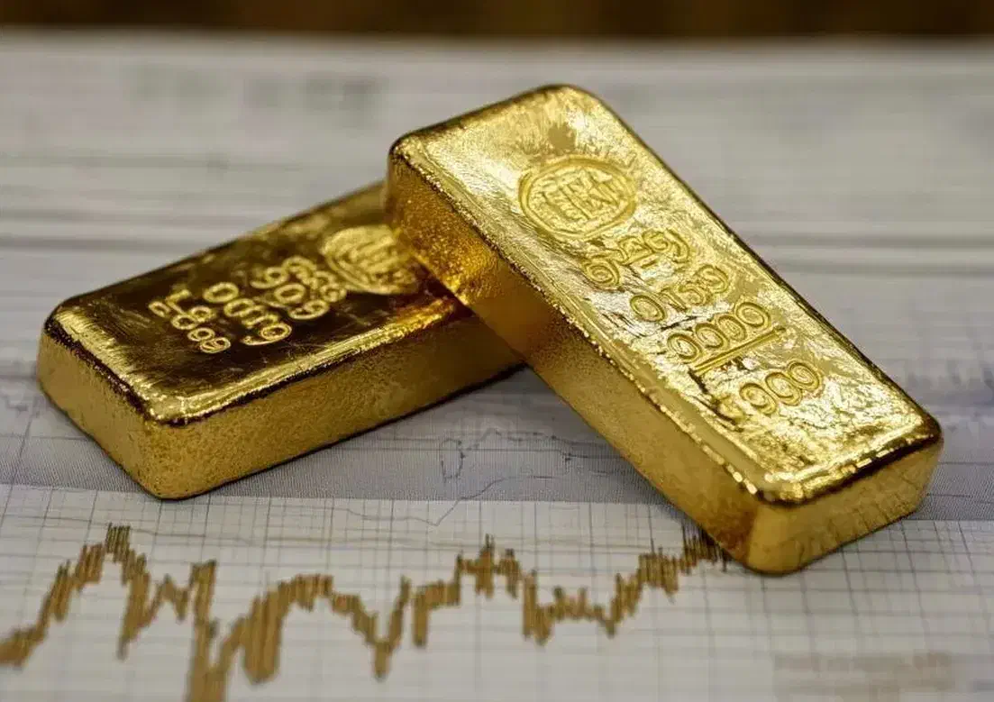 میلی گلد milli-dfaab|فعالیت داوطلبانه|شیراز, لاله|دیوار