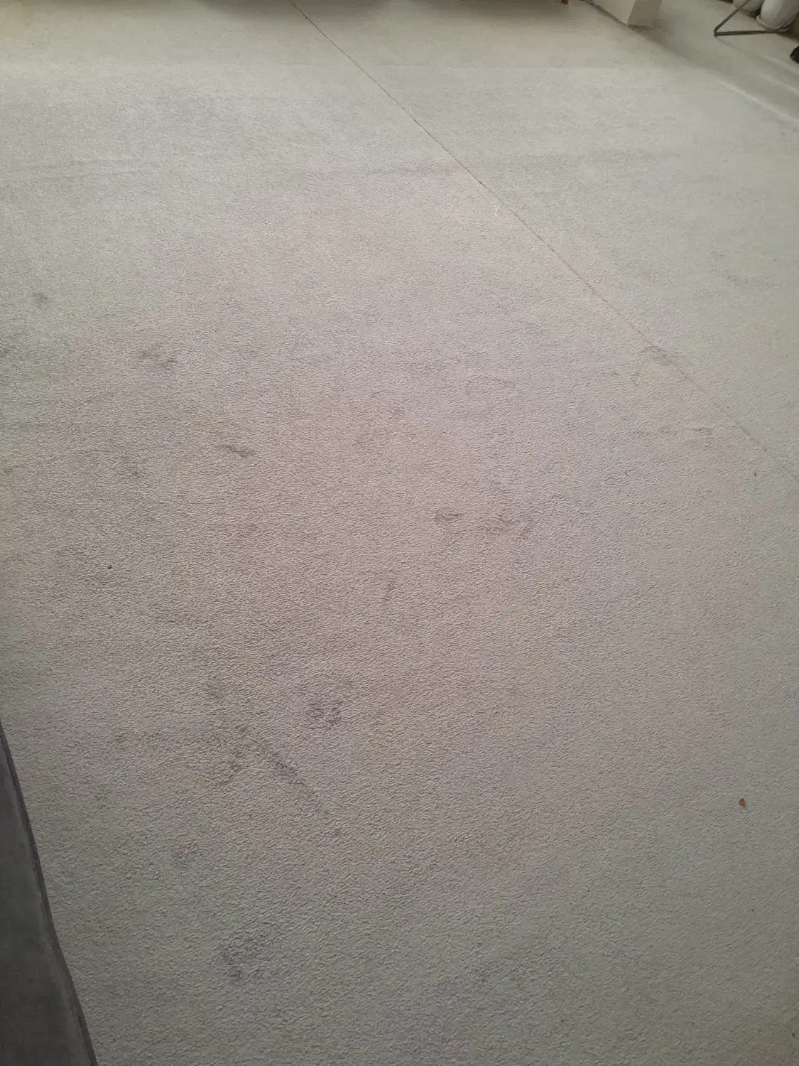 موکت طوسی رنگ|موکت|همدان, |دیوار