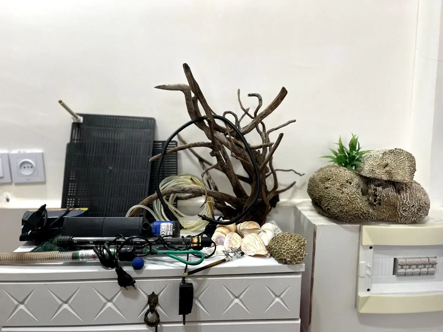 آکواریوم|ماهی|بوئین زهرا, |دیوار