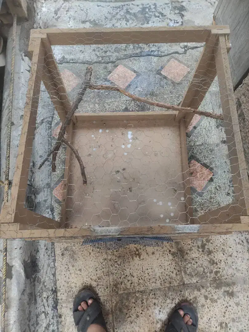 قفس پرنده|لوازم جانبی حیوانات|باغ ملک, |دیوار