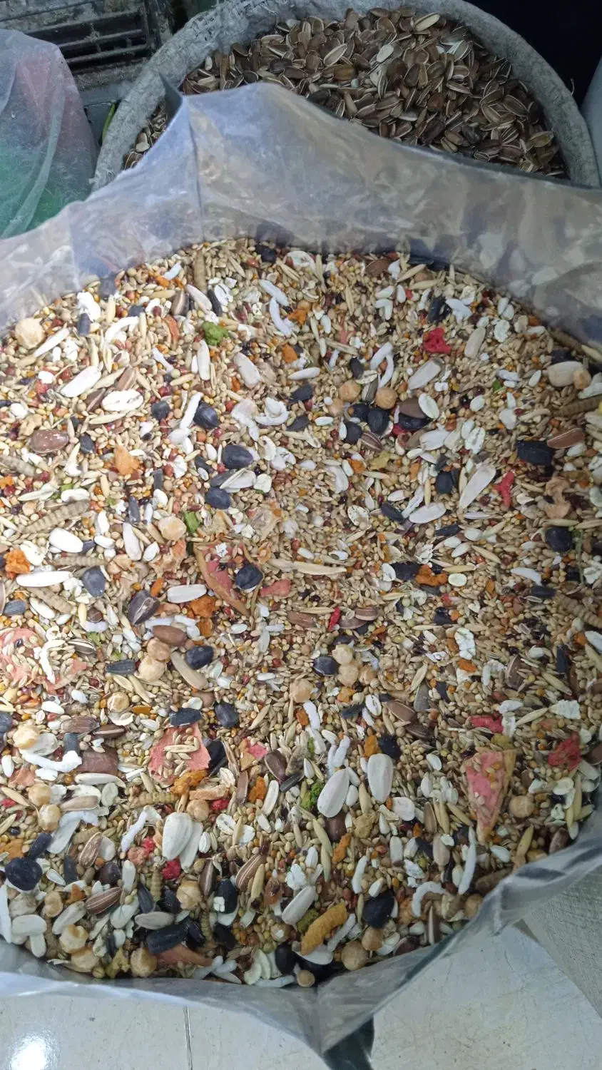 انواع دانه و پرنده و لوازم جانبی پرندگان|لوازم جانبی حیوانات|رشت, دیانتی|دیوار