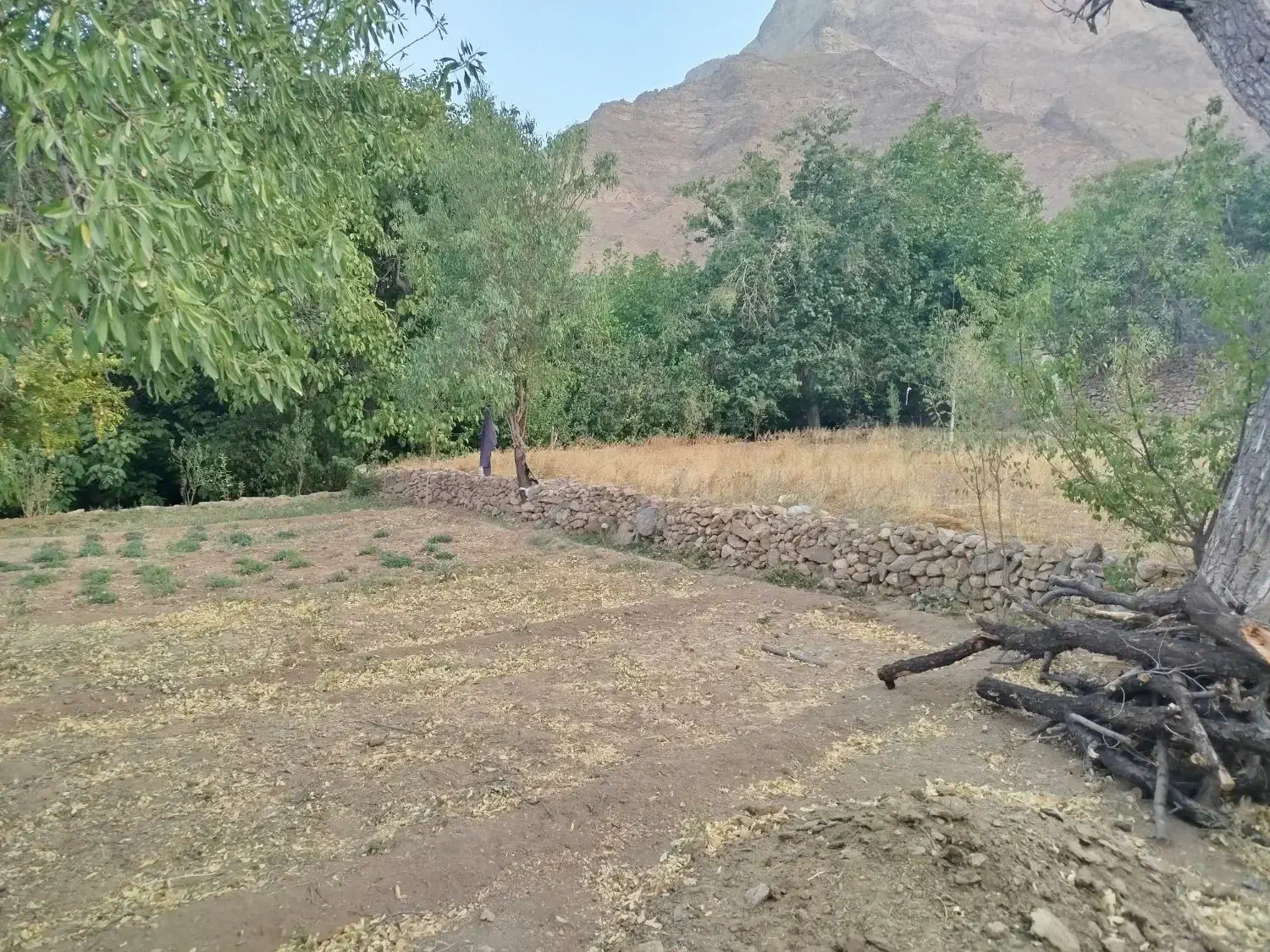 فروش فوری زمین|فروش خانه و ویلا|خضر آباد, |دیوار