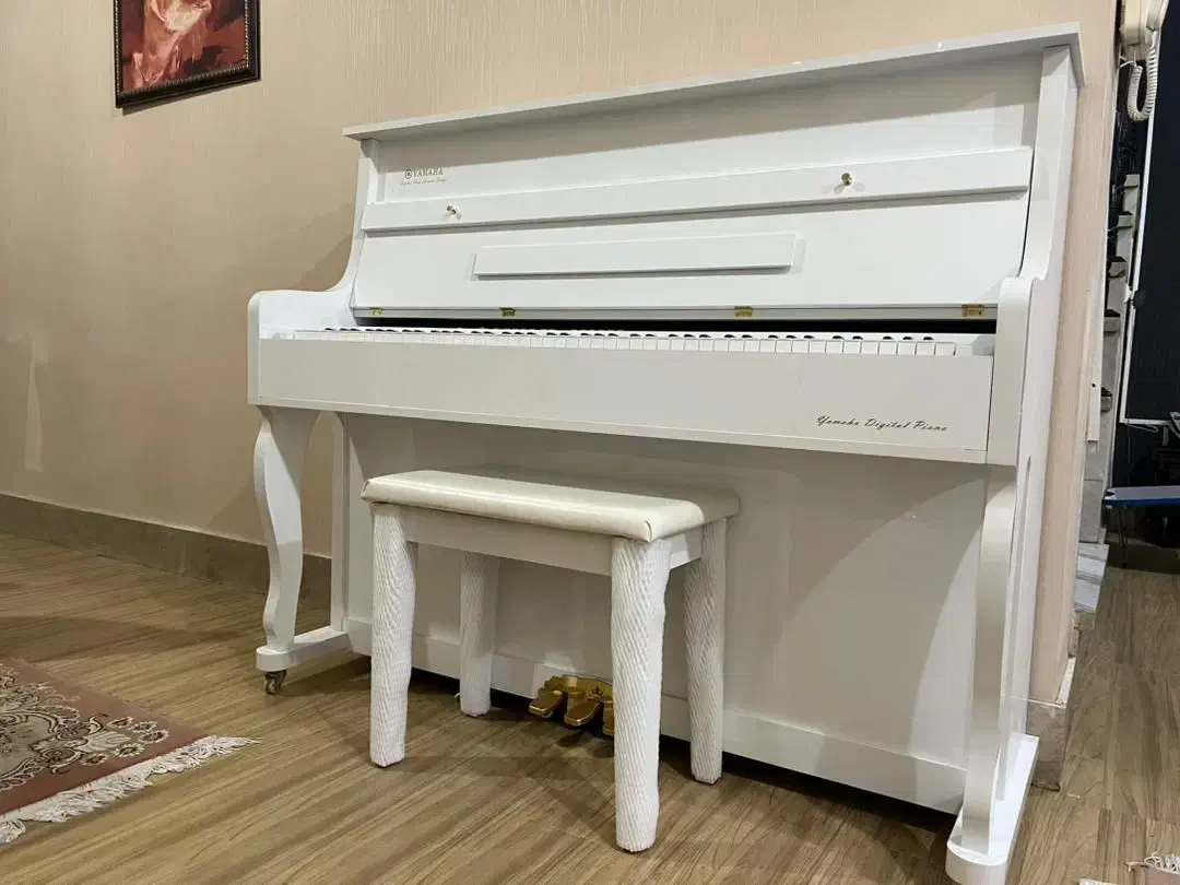 قسطی شش تا12ماهه بدون سودانواع برندهاموجوده ارسالی|پیانو، کیبورد، آکاردئون|خوانسار, |دیوار