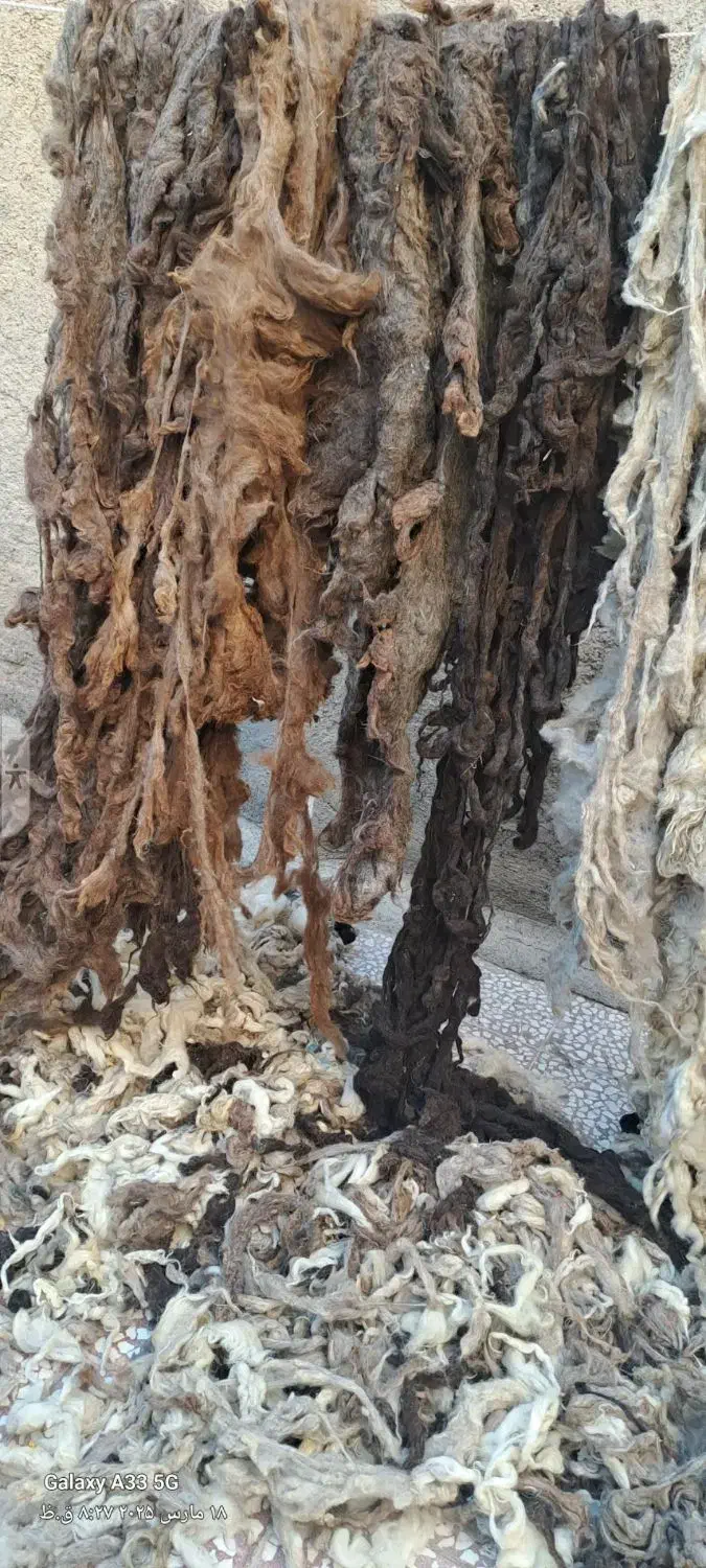 پشم گوسفند|رختخواب، بالش، پتو|قم, انسجام|دیوار