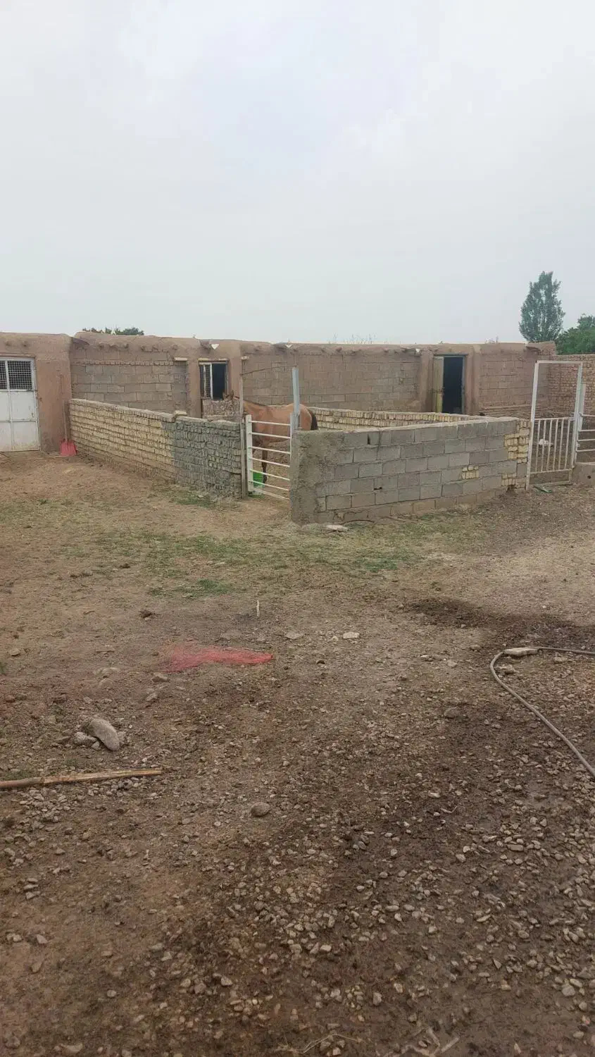 فروش دامداری|فروش دفتر صنعتی، کشاورزی، تجاری|بشاریات, |دیوار