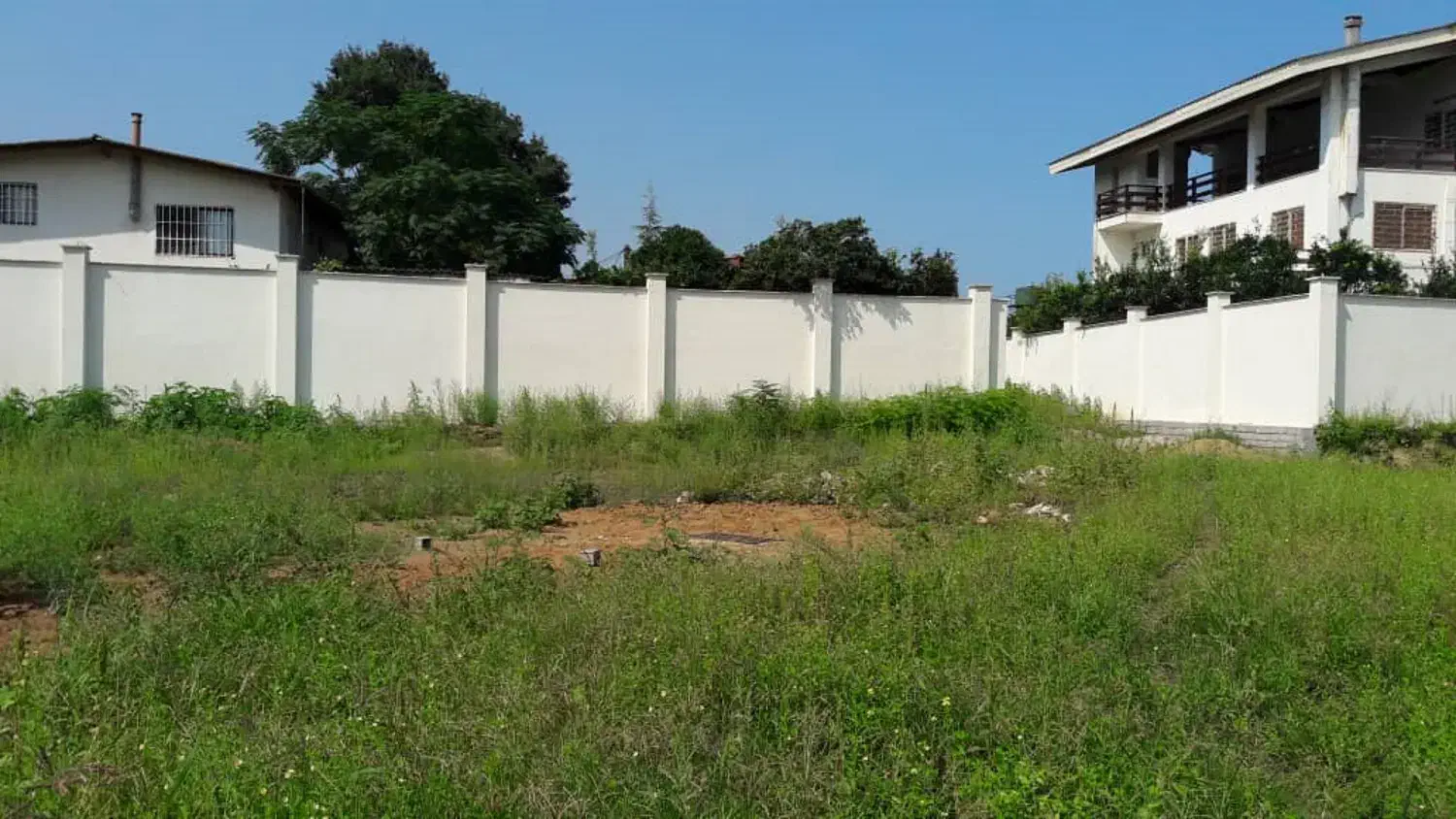 2460مترزمین سندتکبرگ مسکونی درکلارآباد(آهنگرکلا)|فروش زمین و ملک کلنگی|کلارآباد, |دیوار