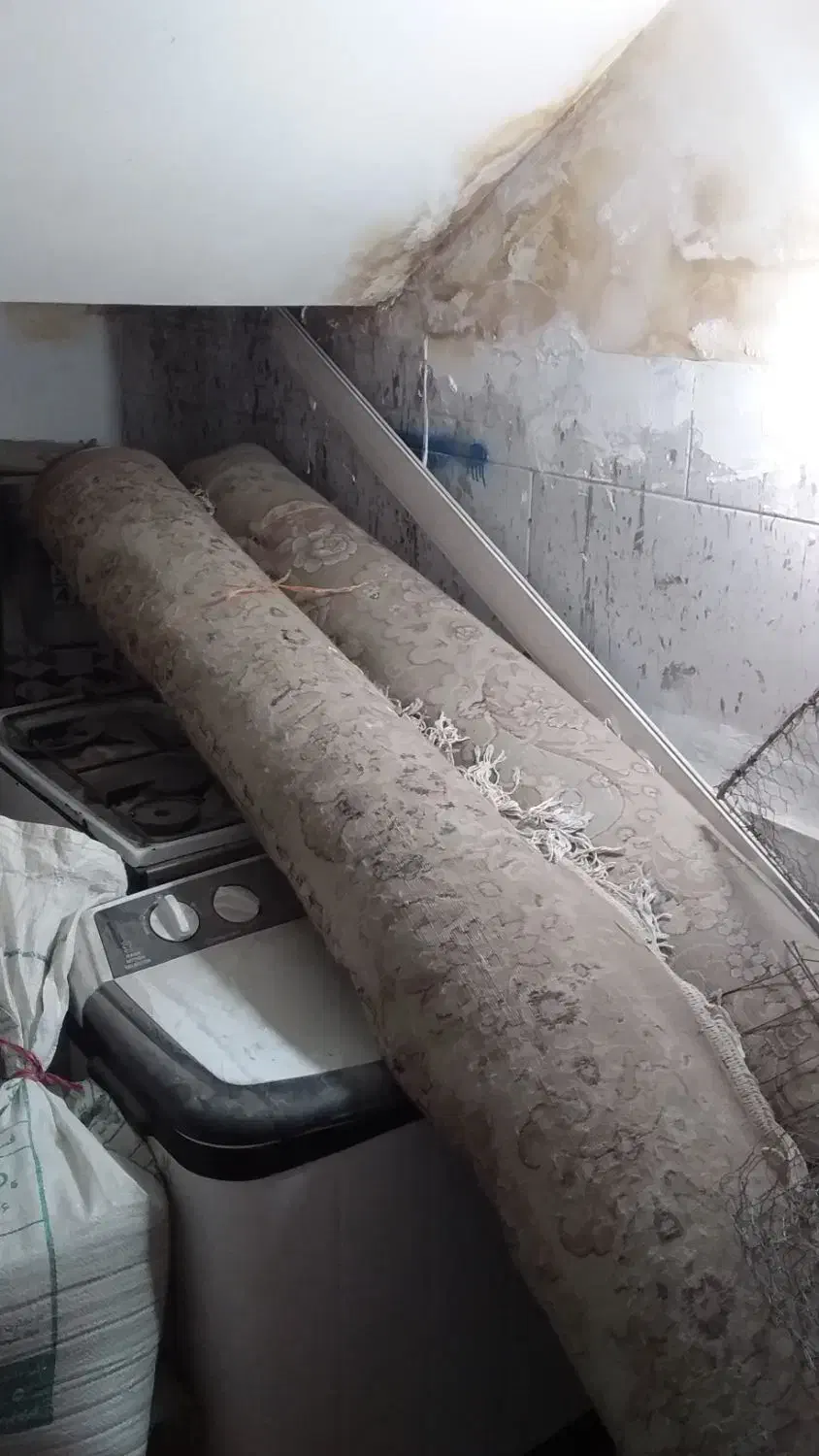 فرش(قالی)کرم|فرش|بجنورد, |دیوار