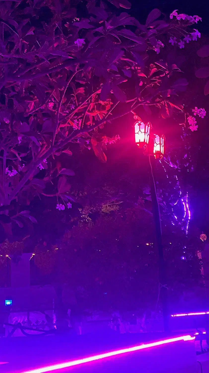 نیروی خانم و اقا برای کار در کافه|استخدام خدمات فروشگاه و رستوران|قشم, |دیوار