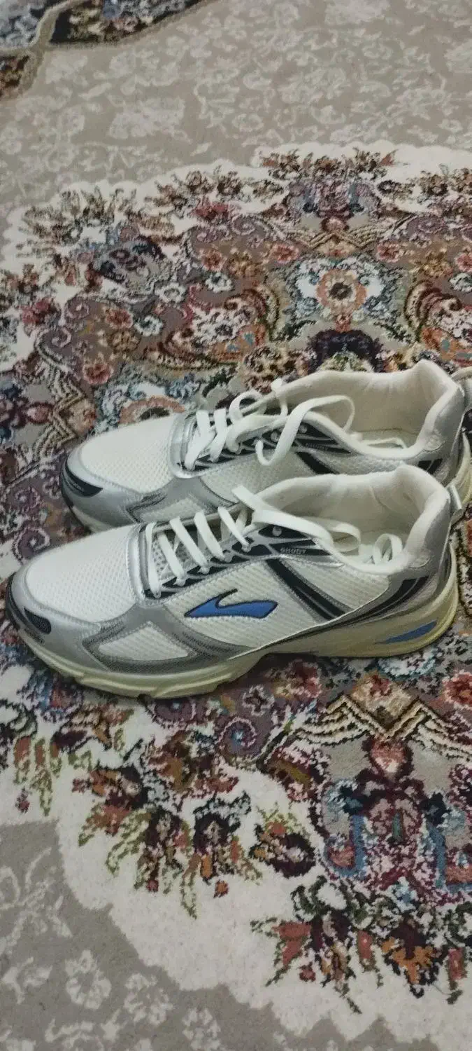 کفش نو|کیف، کفش، کمربند|تاکستان, |دیوار