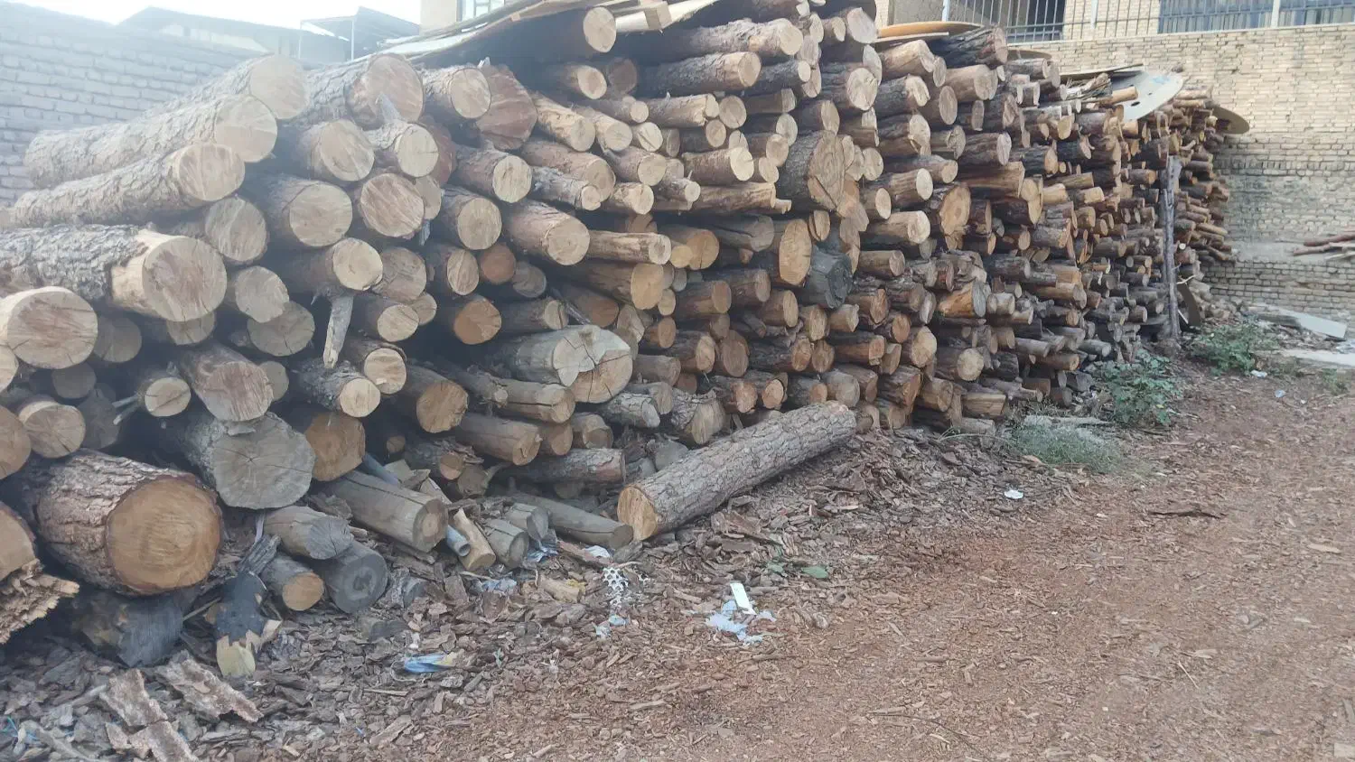 خرید و فروش چوب|خدمات باغبانی و درختکاری|جاجرود, |دیوار