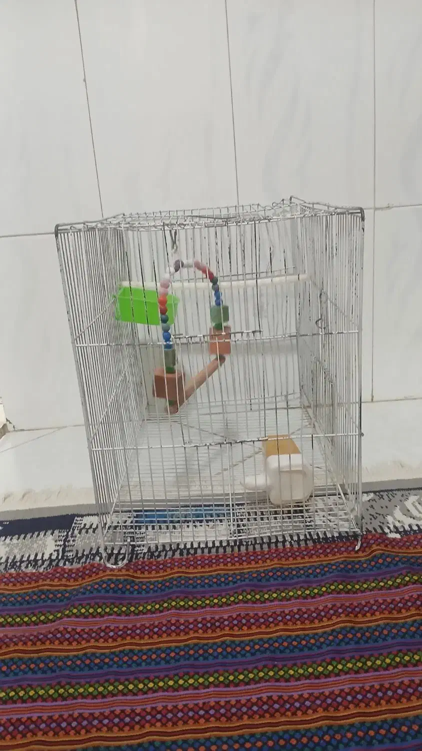 قفس با وسایل|لوازم جانبی حیوانات|پاکدشت, پاکدشت (مامازند)|دیوار