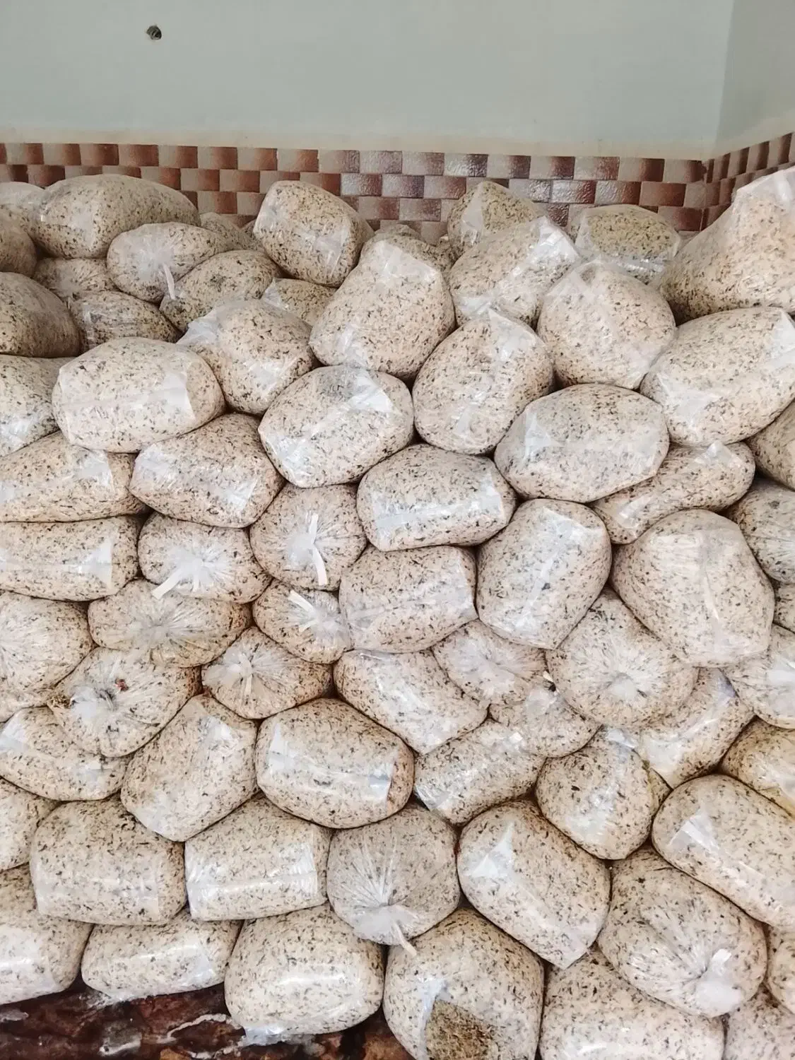 فروش تفاله چغندر و انواع بذر گندم و جو|عمدهفروشی|ارشق, |دیوار