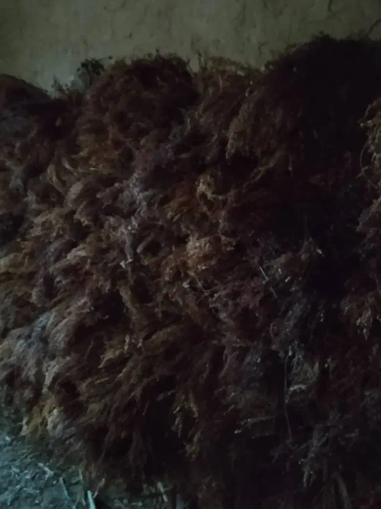 فروش جارو|لوازم نظافت|چاپشلو, |دیوار