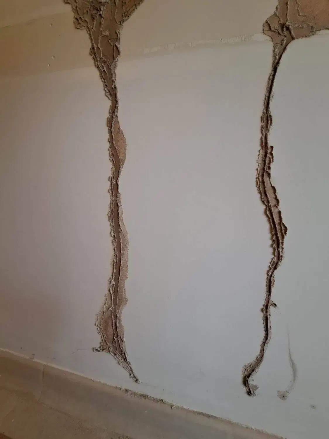 سمپاشی تضمینی|خدمات نظافت|شیراز, آزادی|دیوار