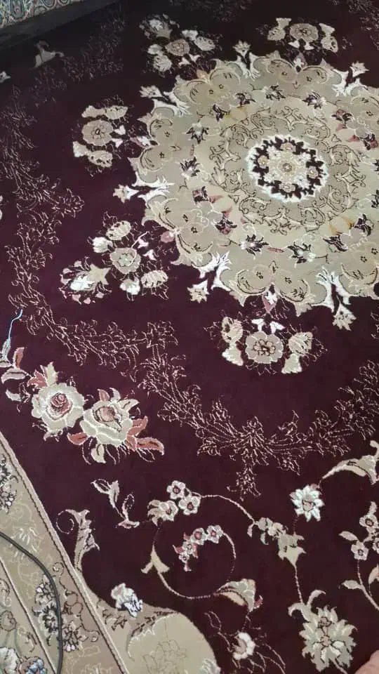 فرش در حد نو و یک عدد پادری|فرش|بندر گناوه, |دیوار