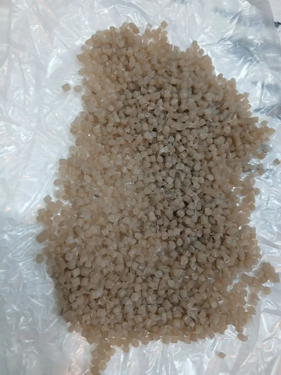 گرانول|عمده‌فروشی|سنندج, |دیوار