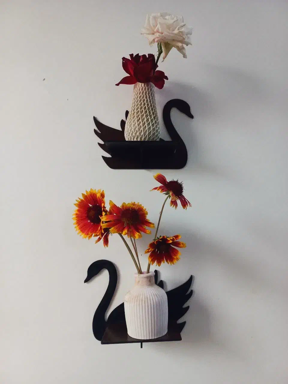 شلف / قفسه طرح قو|کتابخانه، شلف، قفسههای دیواری|قم, پردیسان|دیوار